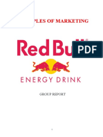 Report Analysis of Redbull