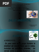 Iii-Salud Ambiental