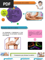 Tratamiento de Cicatriz