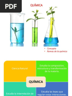 1S. 2 QUIMICA Ramas