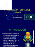 Pawer Point Configuracion Interna Del Diente