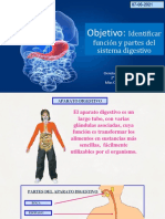 2° - Ciencias - Clase-07 - de - JUNIO - Sistema Digestivo