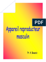 Appareil Reproducteur Masculin (Diaporama) (PR BOUAZIZ)