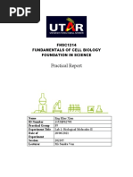 Practical Report: FHSC1214 Fundamentals of Cell Biology Foundation in Science