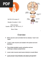 Motor Pathways