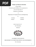 Paddy Leaf Disease Detection