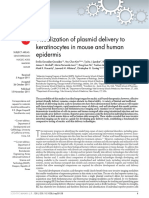 Visualization of Plasmid Delivery To Keratinocytes in Mouse and Human Epidermis