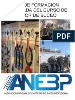 Anebp Borrador Temario Curso SDB