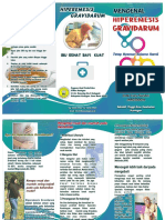 Enok Cucu Suciani - JNR0200016 - Leaflet Mual Muntah