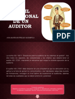 Perfil Profesional de Un Auditor