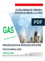 PDVSA DEPCA PMS RIO CARIBE v0 5jul 21