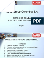 Curso Bombas Centrífugas Bingham MSD