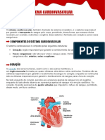 Sistema Cardiovascular