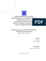 Propiedad, Planta y Equipo, Activo Intangible, Depreciación y Amortización