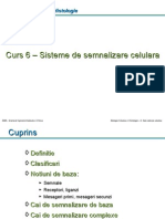 6 Sisteme de Semnalizare Celulara