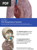 VisibleBody Respiratory System Ebook 2017