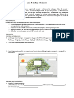 Guía de Trabajo Fotosíntesis