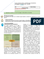 Guia # 2 P.agricola Grado 10