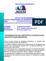 Determinación de Compuestos Orgánicos de Depósitos Subterráneos