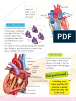 Human Body Minipedia - Nodrm-16-30