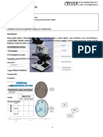 T.P. Laboratorio1 - Células