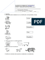 Evaluacion Animales Vertebrados e Invertebrados