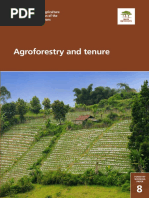 Agroforestry and Tenure: For More Information, Please Contact