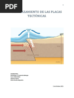 DESPLAZAMIENTO DE LAS PLACAS TECTONICAS Tsunamis