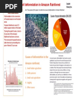 Daulet Mamytov Causes of Deforestation in The Amazon Rainforest