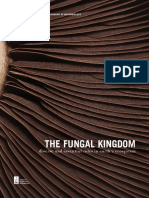 Fungal Kingdom