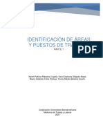 Identificación de Áreas y Puestos de Trabajo Parte 1