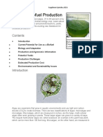 Algae Spirulina For Biofuel Production