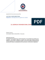 4 - El Liderazgo Organizacional Entre Imágenes, Sonidos y Significados.