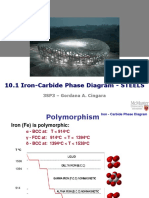 10.1 Iron-Carbide Phase Diagram - STEELS: 3SP3 - Gordana A. Cingara