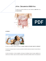 Secuencia Sistema Digestivo