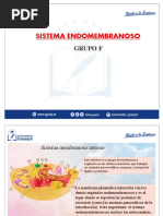 Sistema Membranoso - Exposicion Biologia - Grupo F