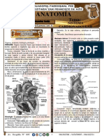 Práctica Sistema Cardiovascular