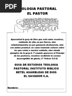 Teologia Pastral El Pastor