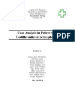 Case Analysis in Patient With Undifferentiated Schizophrenia