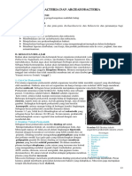 Modul Eubacteria Dan Archaebacteria