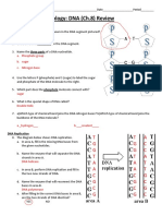 Biology Dna Worksheet Answer Key