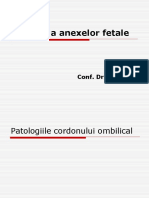 Patologia Cordonului Ombilical Şi A Lichidului Amniotic