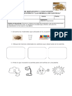 Guía Del Experimento - LA-SEMILLA-DE-LENTEJA
