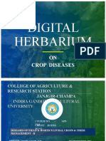 Devesh Chandra Digital Herbarium