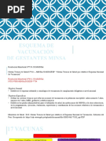 Esquema de Vacunacion Gestantes