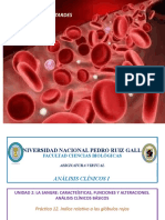 PRÁCTICA 12. Índice Relativo A Los Glóbulos Rojos