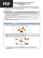 GUÍA No 6 TRANSICIÓN 2021 Segundo Periodo