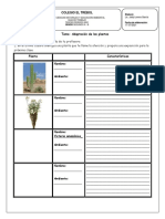 Guia 2 A-B Adaptacion de Las Plantas