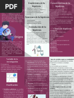 FOLLETO-. Temas de Hipótesis y Variables de Investigación 