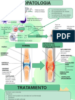 Fisiopato y Tratamiento Artritis